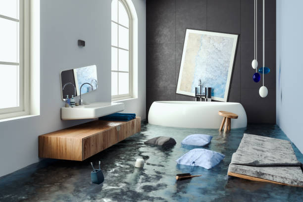 Best Mold removal after water damage  in North Conway, NH
