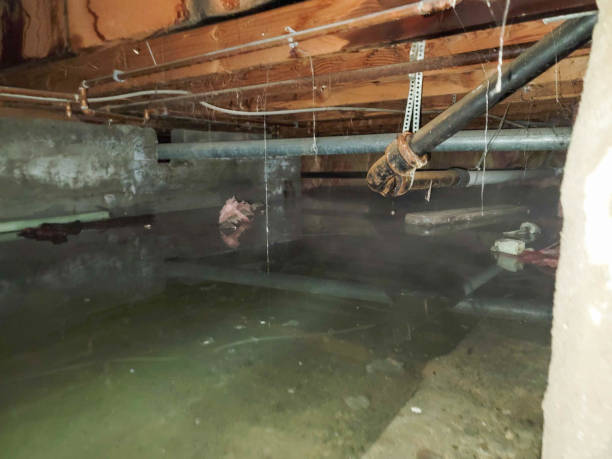 Best Carpet water damage restoration  in North Conway, NH