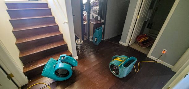 Best Mold removal after water damage  in North Conway, NH