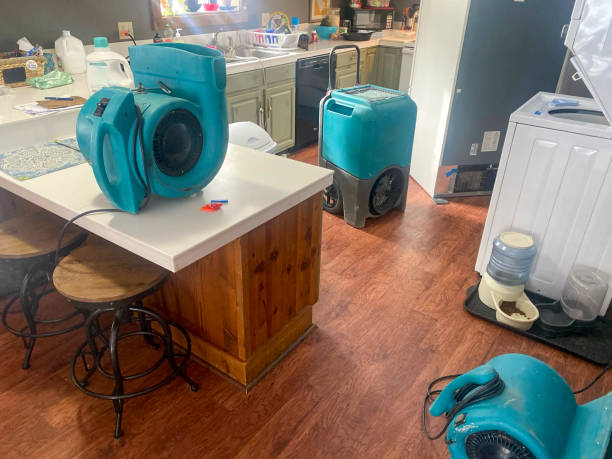 Best Flood damage cleanup  in North Conway, NH