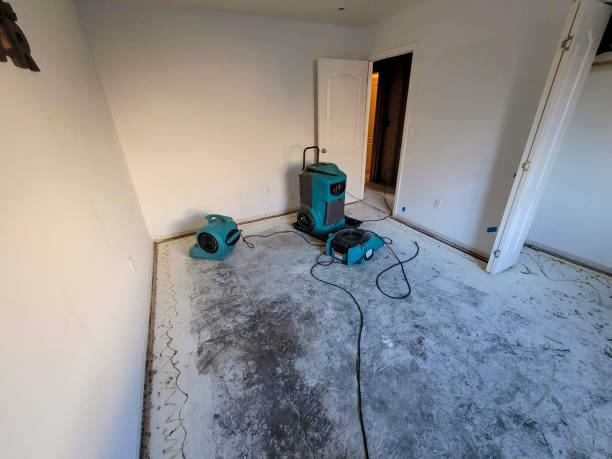 Best Emergency water damage restoration  in North Conway, NH