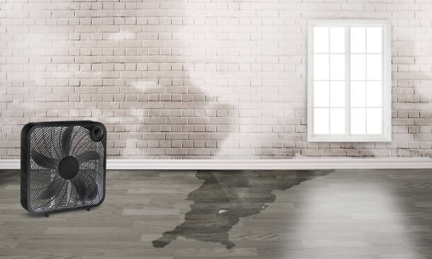 Best Residential water damage restoration  in North Conway, NH