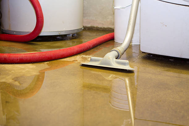 Best Ceiling water damage repair  in North Conway, NH
