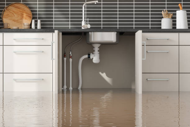 Best Water damage mitigation services  in North Conway, NH