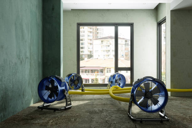 Best Emergency water damage restoration  in North Conway, NH